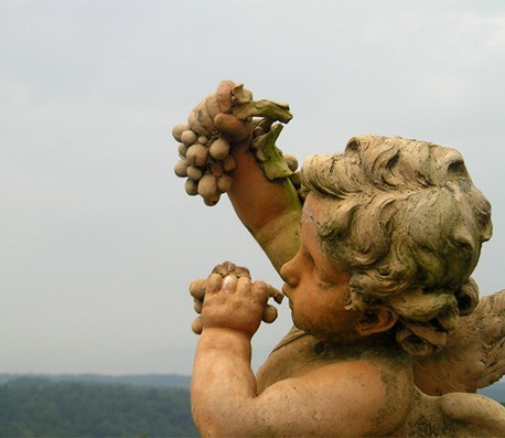 电话连环云呼叫软件