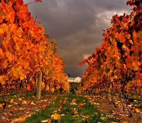 恶意发送验证短信