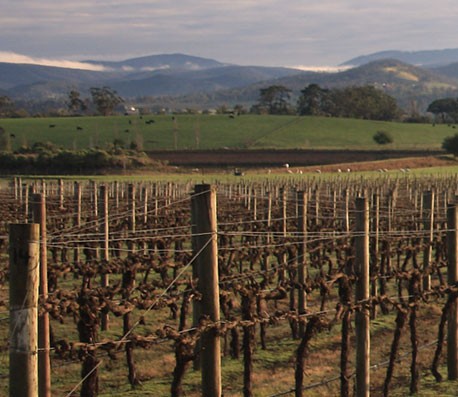 快速生成报表的云呼轰炸机